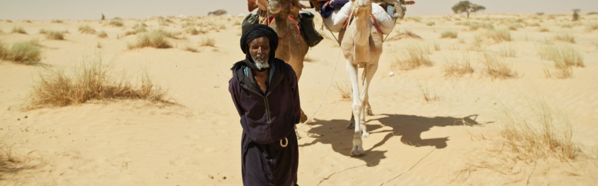 Sahara Master.Copy.27